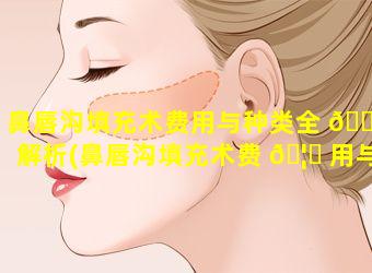 鼻唇沟填充术费用与种类全 🐠 解析(鼻唇沟填充术费 🦍 用与种类全解析图片)